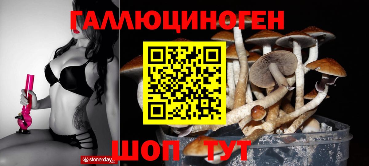 Кузнецк  Псилоцибиновые грибы мицелий  что такое наркотик  Вход с VPN 